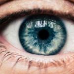 Eye